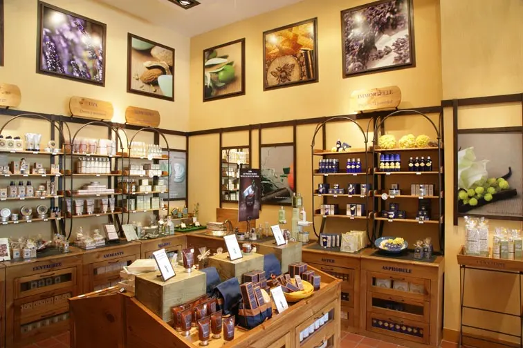 The Psychology of Franchise Design: How to Influence Customer Loyalty and Brand Perception